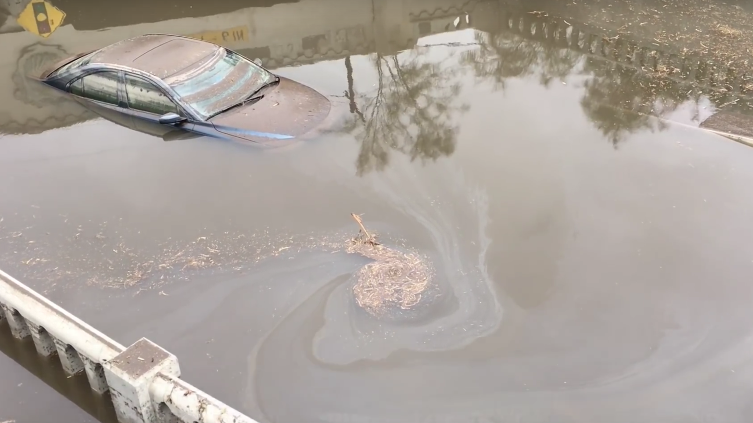 Road Runner: ‘Don’t judge,’ says driver whose stalled Volvo was swallowed by monsoon